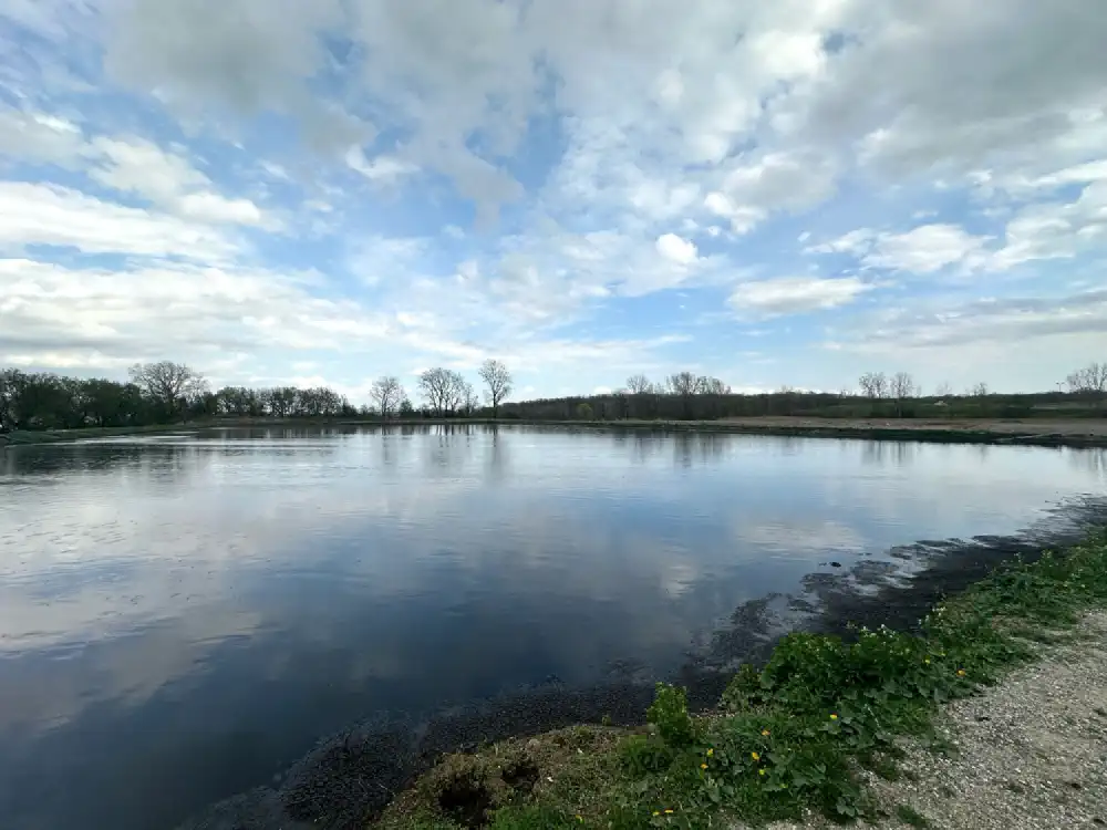 A picture of a full lagoon
