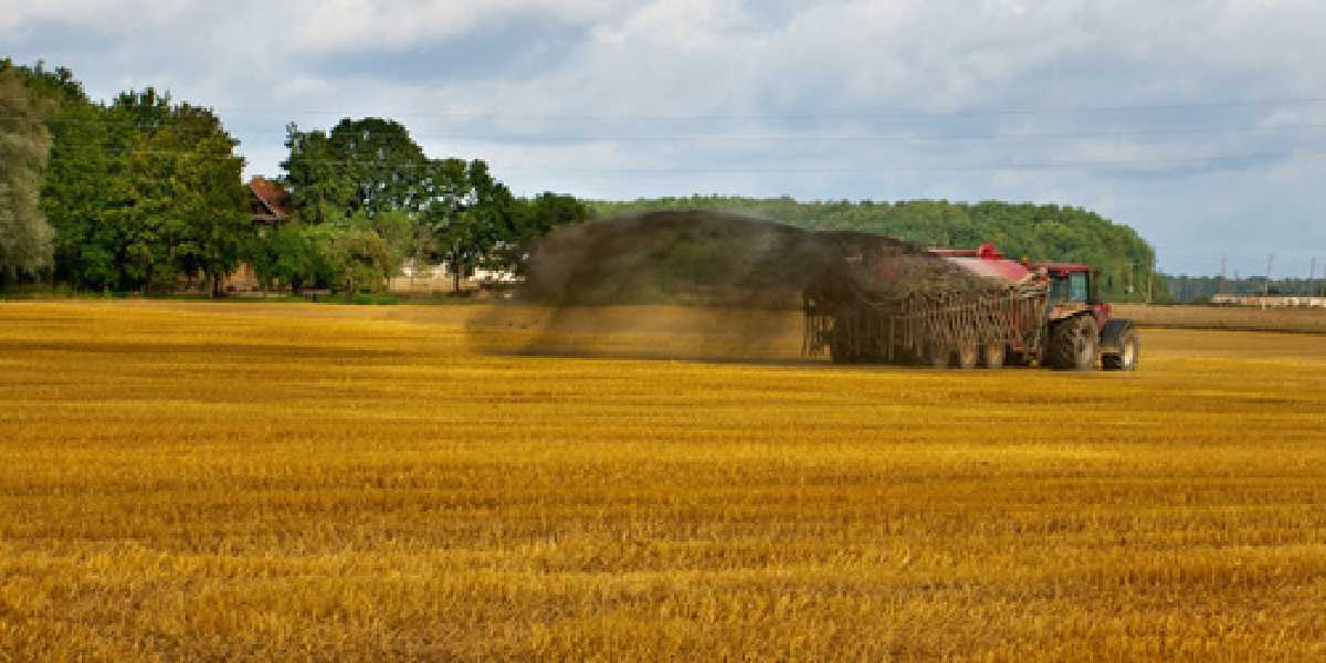 Harvest season is coming, have you considered your soil health?
